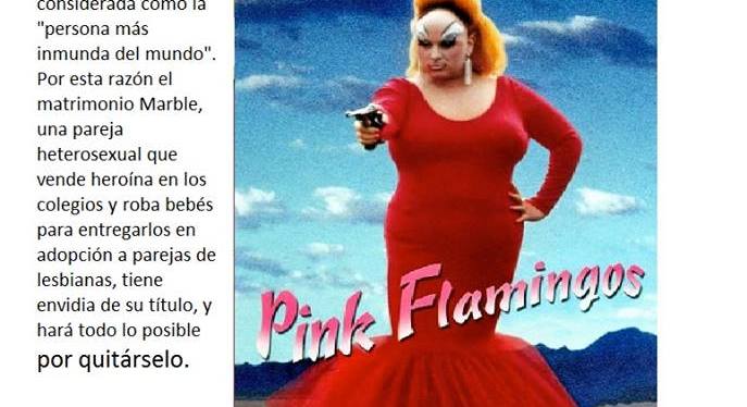 SOMOS Jóvenes nos invita a participar de su cinefórum mensual. El 18 de febrero, Pink&nbsp;Flamingos