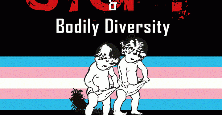 Manifiesto de la Red Internacional por la despatologización trans