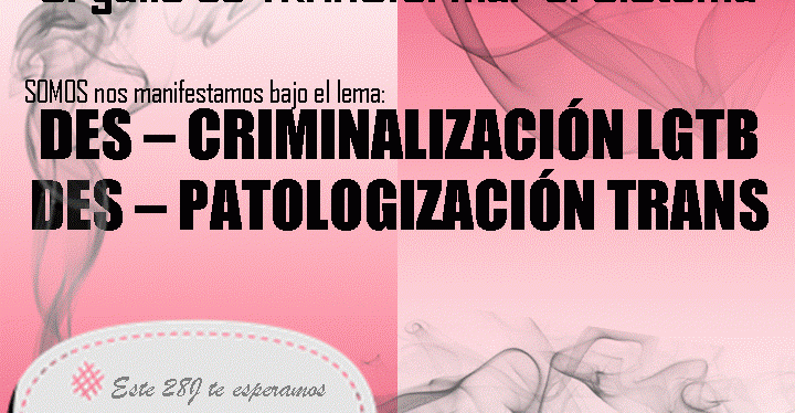 Z-Orgullo’17, Este 28 J, grita con SOMOS «Des-criminalización LGTB, des- patologización&nbsp;trans»