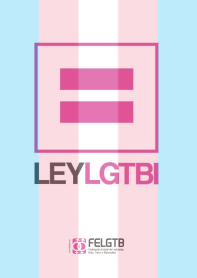 IMAGEN LEY BANDERA TRANS